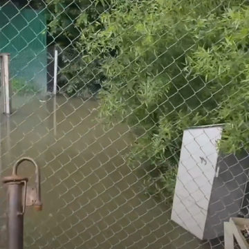 Животные, ЖКХ, Канализация, Город Калуга, Калужская область, Экопарк Биосфера