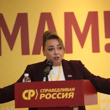 Материнство, Политика, Надежда Ефремова, Справедливая Россия