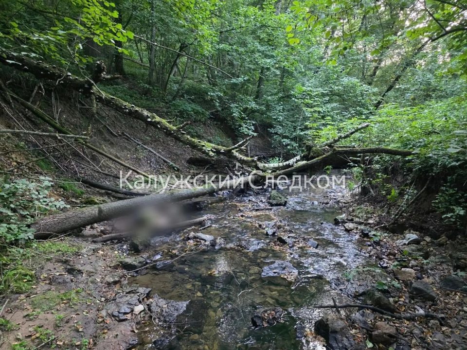Криминал, Несчастный случай, Смерть, Убийство, Город Обнинск, Калужская область