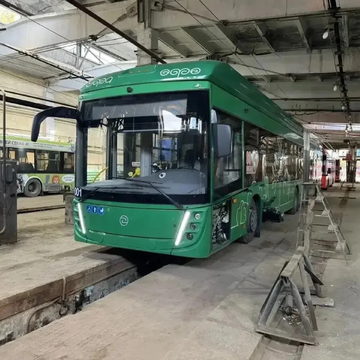 Общественный транспорт, Общество