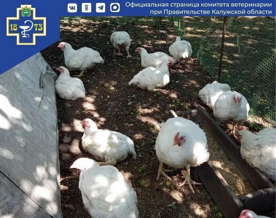 Общество, Сельское хозяйство, Комитет ветеринарии