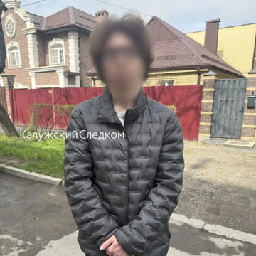Мошенничество, Следственный комитет
