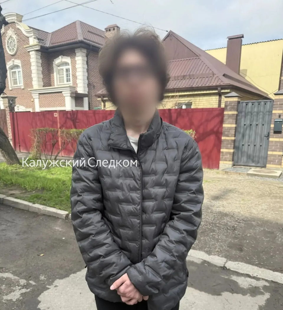 Мошенничество, Следственный комитет