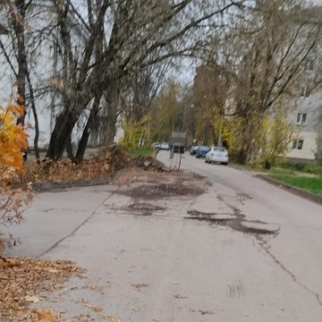 Общество, Ремонт дорог