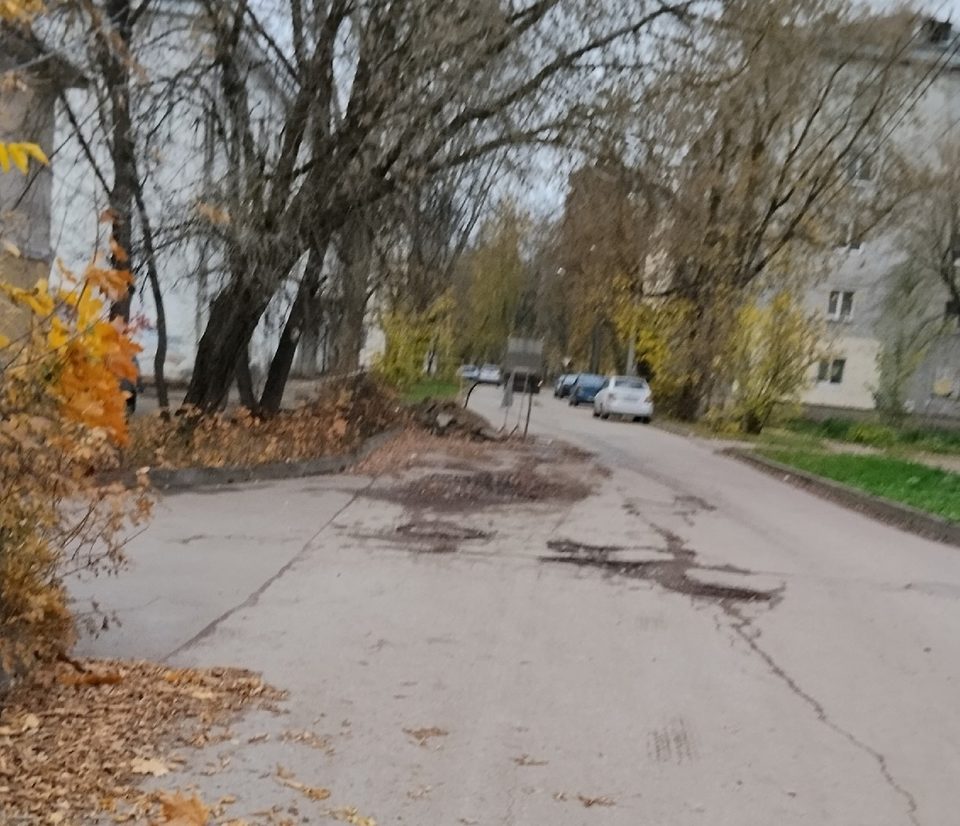 Общество, Ремонт дорог