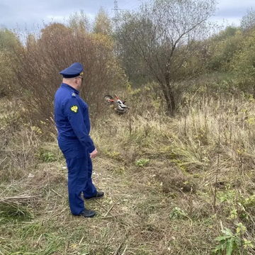 ДТП, Происшествия